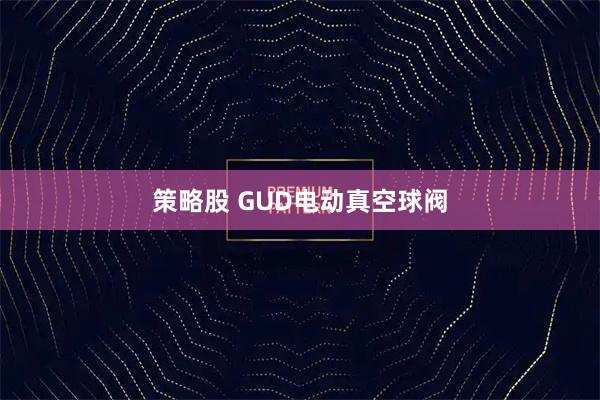 策略股 GUD电动真空球阀